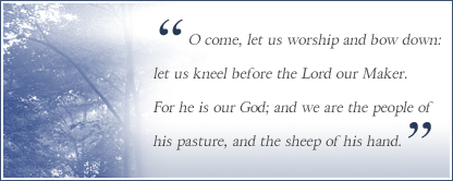 Bible Verse Bible Verse